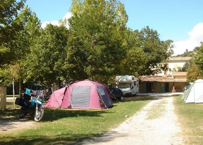 Frederic Mistral Castellane